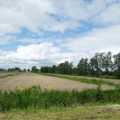 Taxatie-Landbouwgrond
