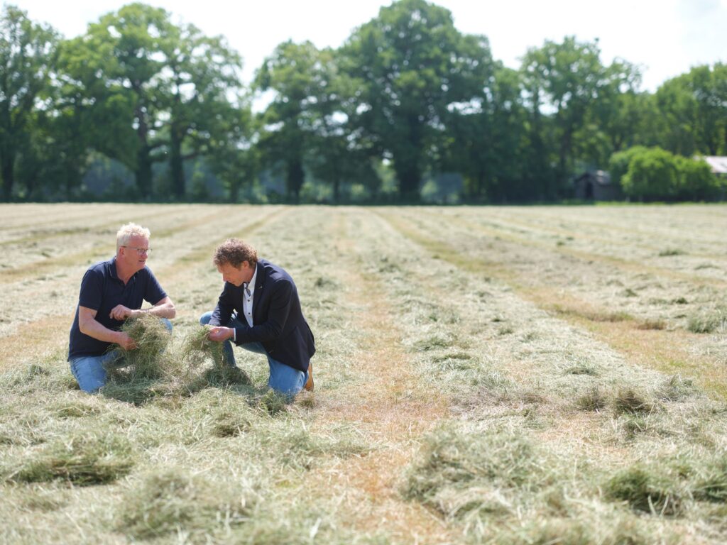 Deskundige uitvoering